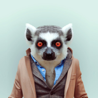 HalithersisRubis