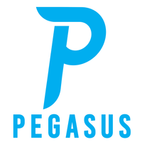 pegasusleicester