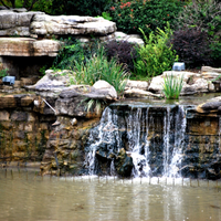 FullertonBestLandscape