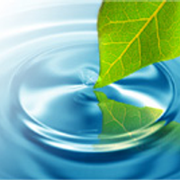 colloidalsilverwater