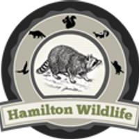 HamiltonWildlife