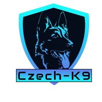 tomasdamron-wSVcFBeI