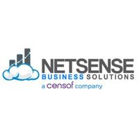 netsense-8pe9HIiS