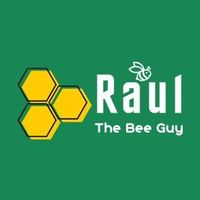 raulthebeesguy-HJ2w8CRR