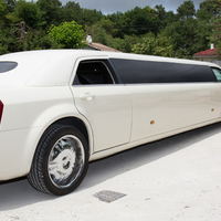 arborannlimo