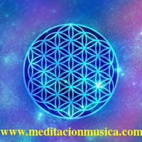www.jardineromarbella.com