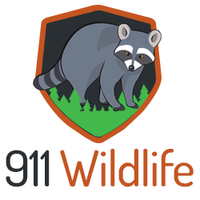 911wildliferemoval