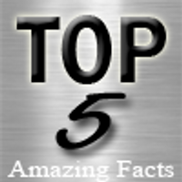 mostamazingtop5