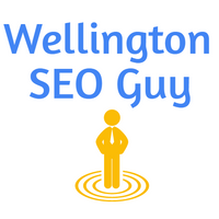 wellingtonseoguy