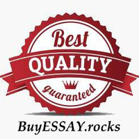 BuyESSAYrocks
