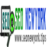 seoconsultantnewyork