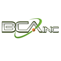 BCAITInc.