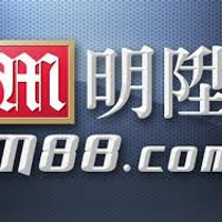 Bettingtop