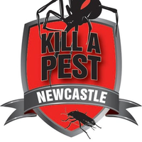 killapestcontrolnewcastle