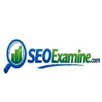 SEOExamine