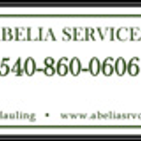 Abelia_Services