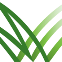 mmseducation