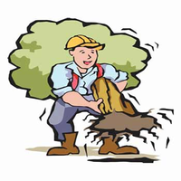 removetreestump