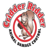 CridderRidder
