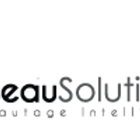 ReseauSolutionsSLInc