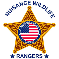 nuisancewildlife