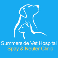 Summersidevet