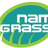Southartificialgrass