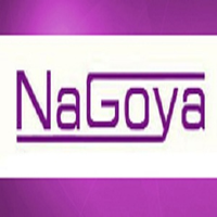 nagoyaflushingny
