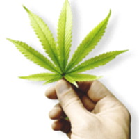 floridasmedicalmarijuana