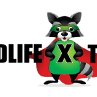 wildlifexteam1