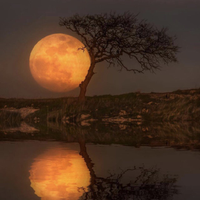 Rahul_247