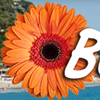 blumenriviera