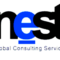 NestGlobalConsultingServices
