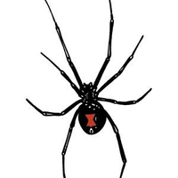 preventivepestvega