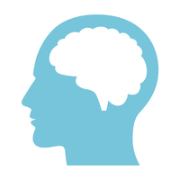 Best-Nootropics-Now