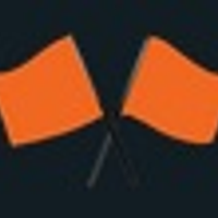 SafetyFlag1