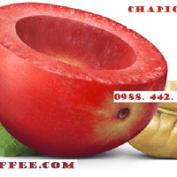 CHAPICOFFEE