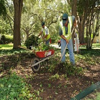 romerotreeservice