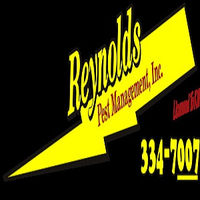 Brianreynolds