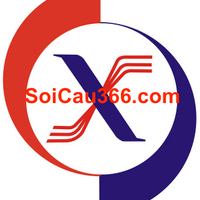 Soicau366