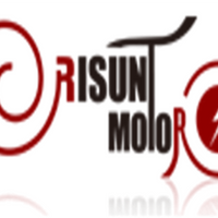 Risunmotor