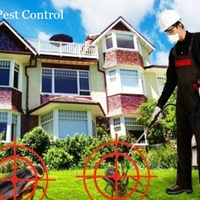 fallspestcontrol1
