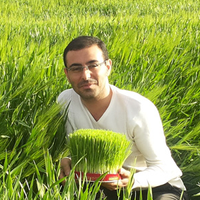 mojtabafaal