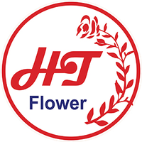 shophoahanhtruong