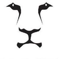 liongroupllc
