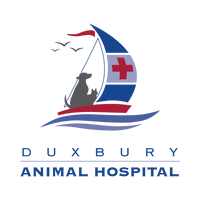 DuxburyAH