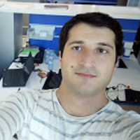 Zaur