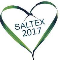 IOGsaltex