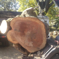 bullcitytreeservice