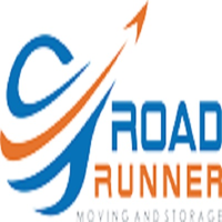 roadrunnerLadyLake